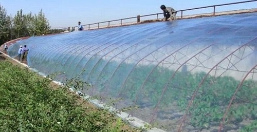 大棚吹膜用哪種增白劑？